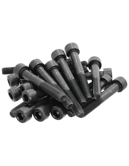 Tornillo Allen, Tamaño: 10 x 70mm (Din 912)