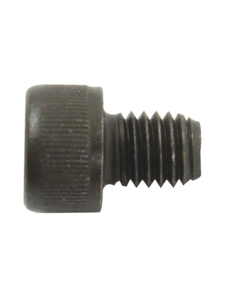 Tornillo Allen, Tamaño: 8 x 10mm (Din 912)