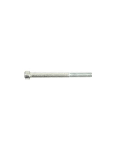 Tornillo Allen, Tamaño: M10 x 100mm (Din 912)