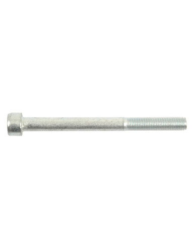 Tornillo Allen, Tamaño: M10 x 100mm (Din 912)