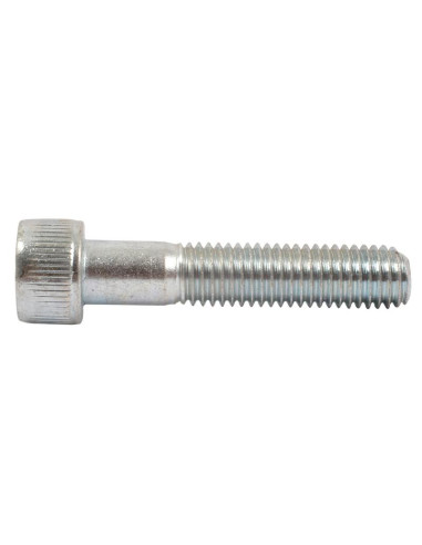 Tornillo Allen, Tamaño: M10 x 50mm (Din 912)