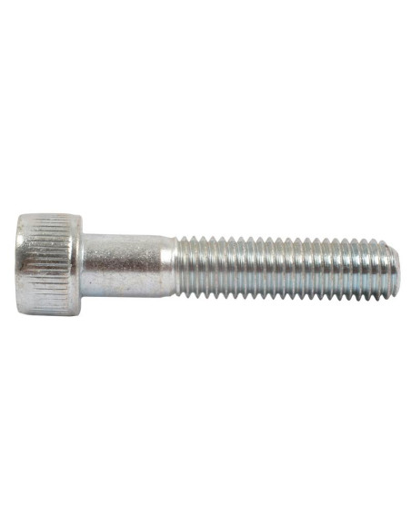 Tornillo Allen, Tamaño: M10 x 50mm (Din 912)