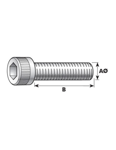 Tornillo Allen, Tamaño: M14 x 40mm (Din 912)
