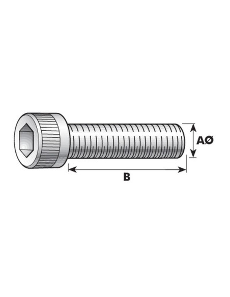 Tornillo Allen, Tamaño: M14 x 40mm (Din 912)