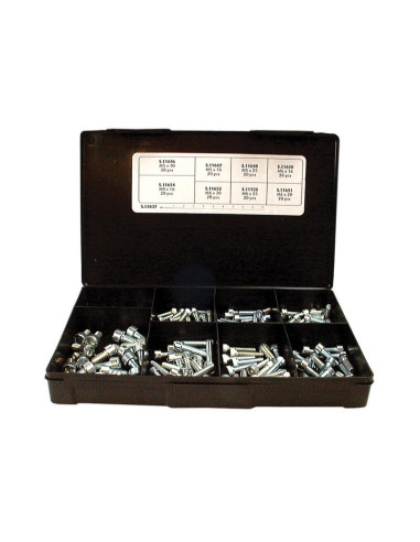 Tornillo Allen, Tamaño: M5 - M8 x 10 - 30mm...