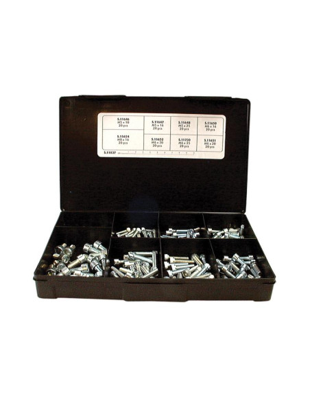 Tornillo Allen, Tamaño: M5 - M8 x 10 - 30mm (Din 912)