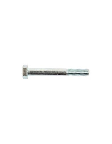 Tornillo Métrica, Tamaño: 10 x 100mm (Din 931)