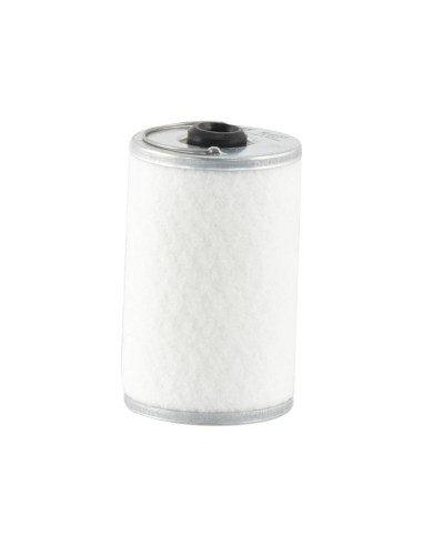 Filtro Combustible - Elemento