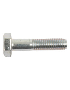 Tornillo Métrica, Tamaño: 10 x 45mm (Din 931) 2