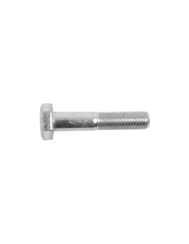 Tornillo Métrica, Tamaño: 10 x 50mm (Din 931)