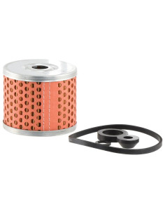 Filtro Combustible - Elemento