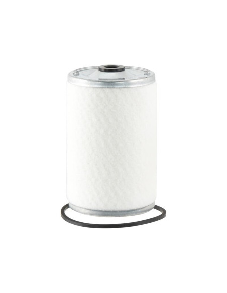 Filtro Combustible - Elemento