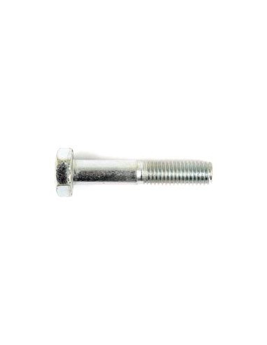 Tornillo Métrica, Tamaño: 10 x 55mm (Din 931)