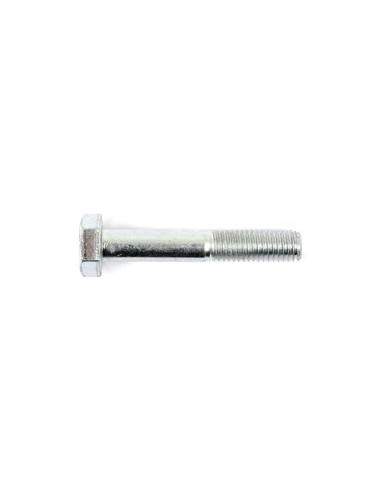Tornillo Métrica, Tamaño: 10 x 60mm (Din 931)