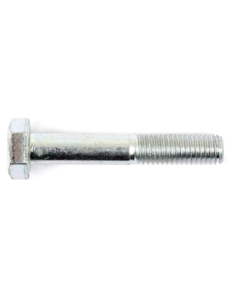 Tornillo Métrica, Tamaño: 10 x 60mm (Din 931)