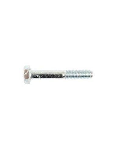 Tornillo Métrica, Tamaño: 10 x 65mm (Din 931)