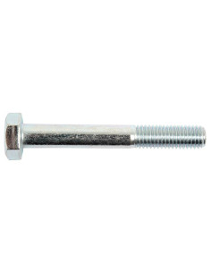 Tornillo Métrica, Tamaño: 10 x 75mm (Din 931) 2