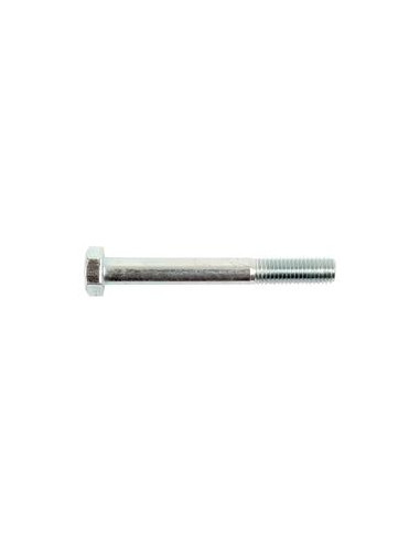 Tornillo Métrica, Tamaño: 12 x 100mm (Din 931)