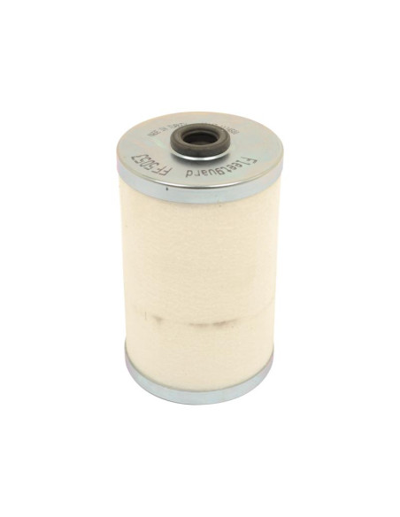 Filtro Combustible - Elemento - FF5053