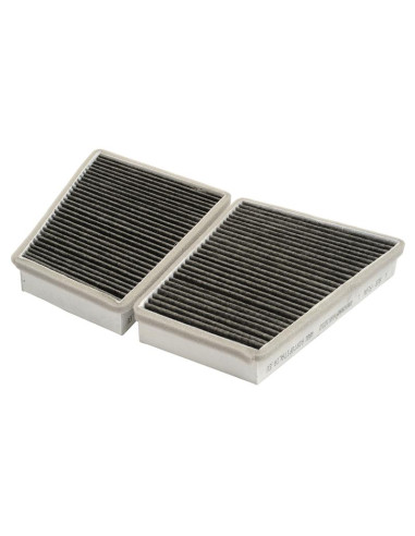 Filtro De Carbon