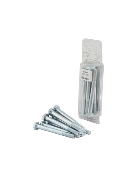 Tornillo Métrica, Tamaño: M10 x 100mm (Din 931) 10 pzas. Blister