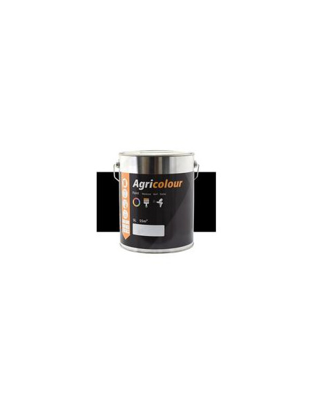 Pintura - Brillante, Negro Bote 5 litros