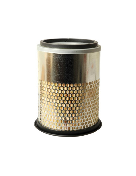 Filtro de Aire Externo - AF1856