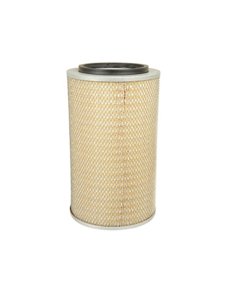 Filtro de Aire Externo - AF25065