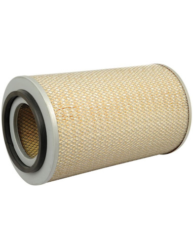 Filtro de Aire Externo - AF25065