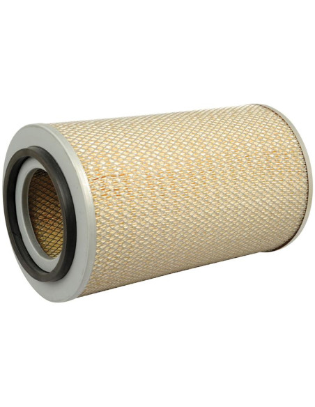 Filtro de Aire Externo - AF25065