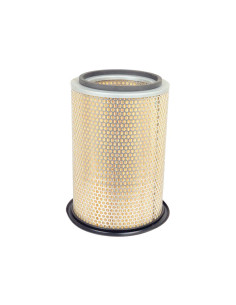 Filtro de Aire Externo - AF25343