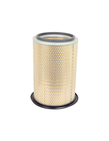Filtro de Aire Externo - AF25343