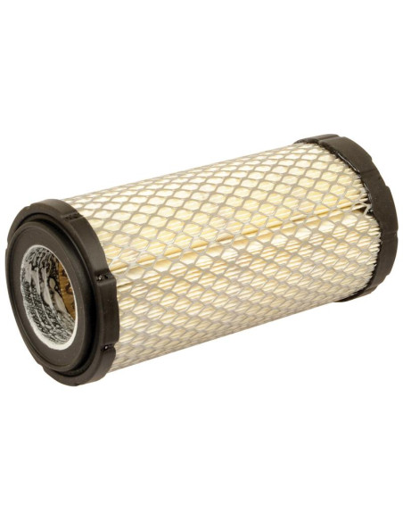 Filtro de Aire Externo - AF25550