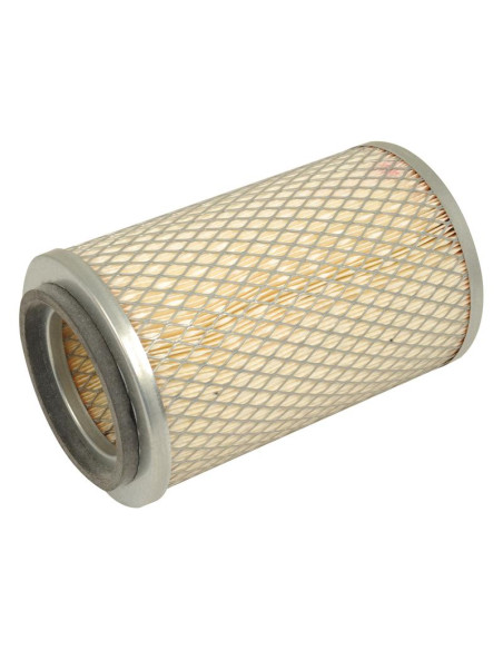 Filtro de Aire Externo - AF25761