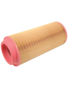 Filtro de Aire Externo - AF26393 2