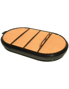 Filtro de Aire Interno