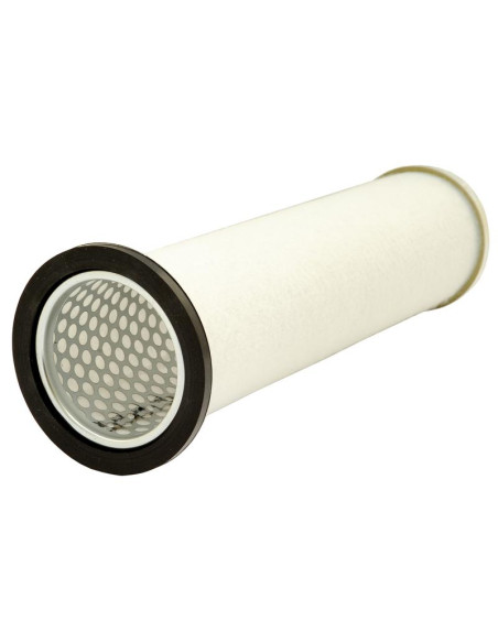 Filtro de Aire Interno