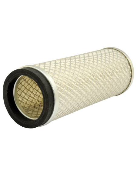 Filtro de Aire Interno