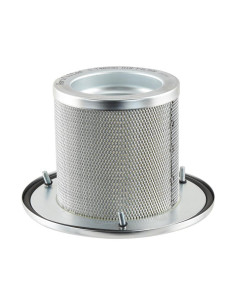 Filtro de Aire Interno