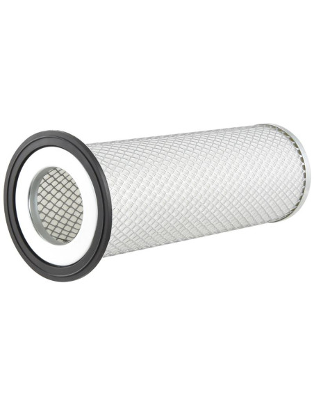 Filtro de Aire Interno