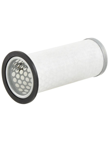 Filtro de Aire Interno