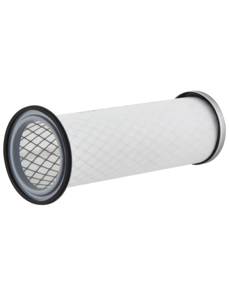 Filtro de Aire Interno