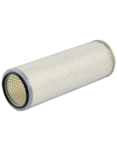 Filtro de Aire Interno