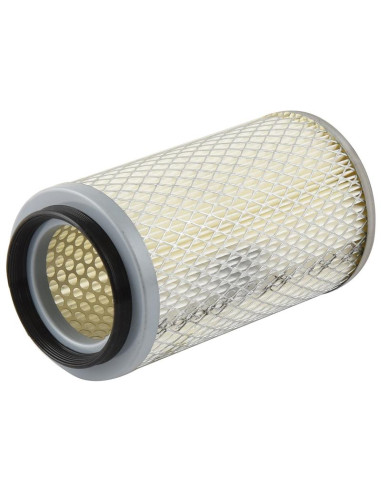 Filtro de Aire Interno