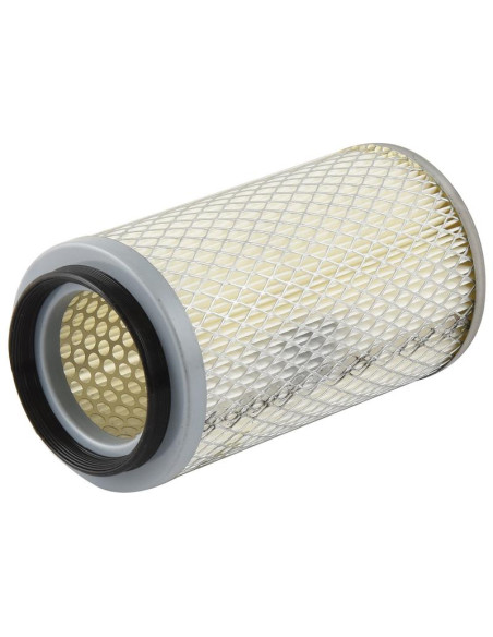 Filtro de Aire Interno