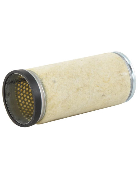 Filtro de Aire Interno