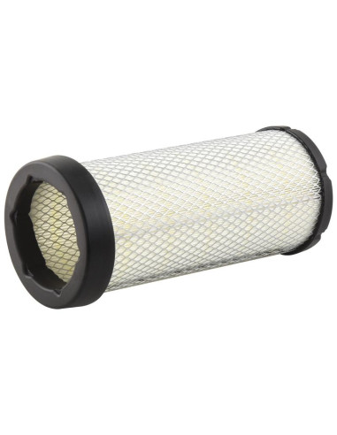 Filtro de Aire Interno