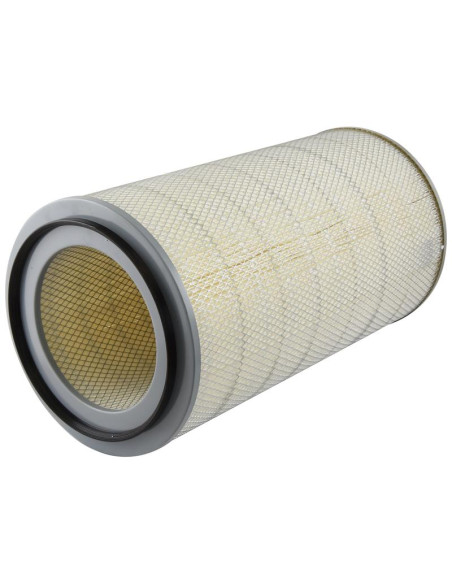 Filtro de Aire Interno