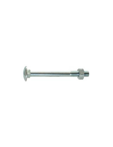 Tornillos barraqueros, Tamaño: M8 x 30mm (Din 603/555)