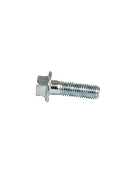 Tornillos con Ala, Tamaño: 10 x 40mm
